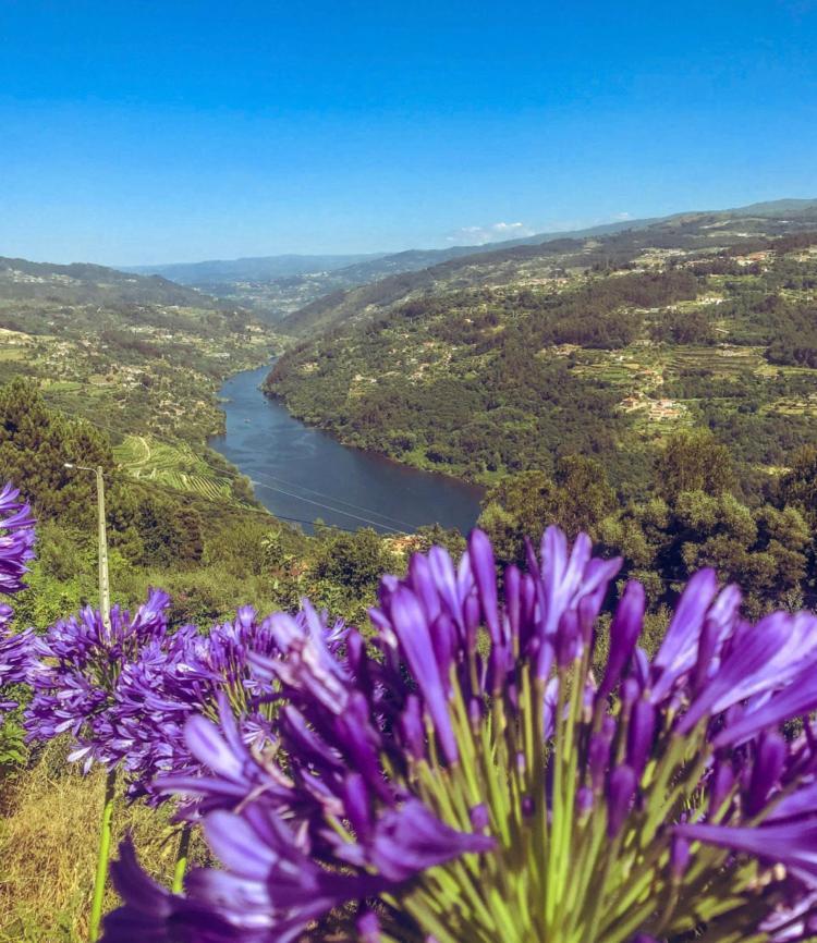 Mira Douro Valley Home Marco de Canavezes 외부 사진